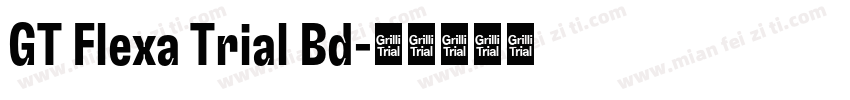 GT Flexa Trial Bd字体转换